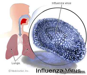  آنفولانزا