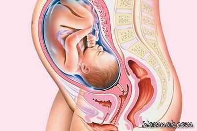 تصویر جنین در هفته سی و دوم ، هفته سی و دوم بارداری ، بارداري