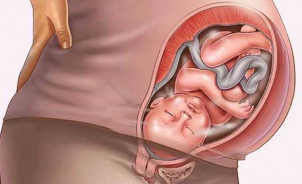 علائم هفته 42 بارداری هفته 42 بارداری
