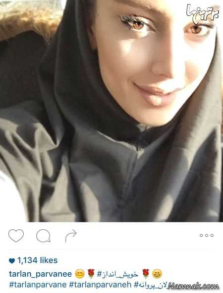 ترلان پروانه ترلان پروانه