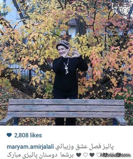 مریم امیرجلالی ، بازیگران مشهور ایرانی ، بازیگران مشهور ایرانی در شبکه های اجتماعی