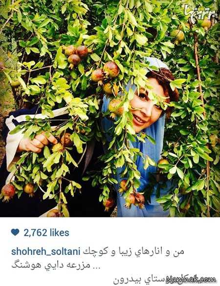 شهره سلطانی شهره سلطانی