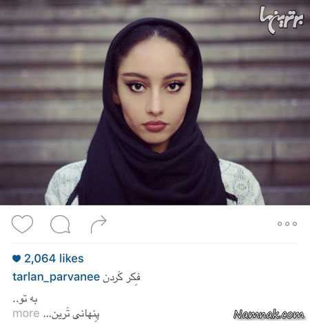 ترلان پروانه ترلان پروانه