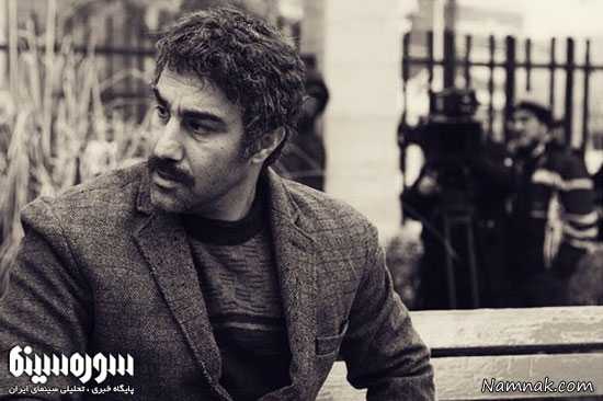 محسن تنابنده ، جشنواره فیلم فجر 94 ، سودای سیمرغ 34