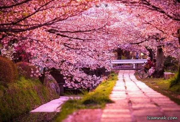 اشعار ناب بهار ، عید نوروز ، اشعار زیبا