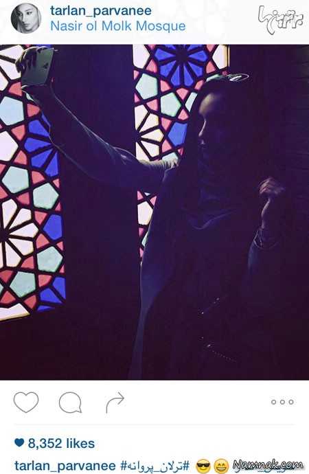 ترلان پروانه ترلان پروانه
