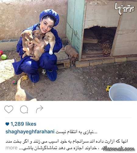 شقایق فراهانی شقایق فراهانی