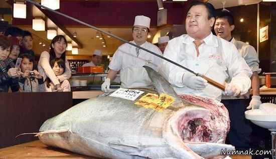 گرانترین ماهی تن جهان