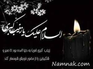 اس ام اس وفات حضرت زینب