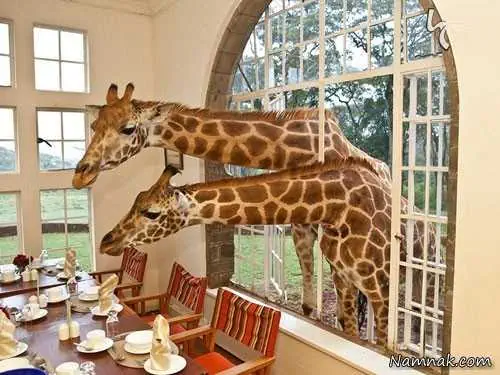 هتل هری پاتر خاص ترین هتل های جهان