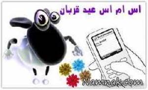 اس ام اس عید قربان ، عید قربان