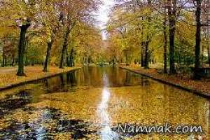 باران پاییزی ، باران پاییزی تهران
