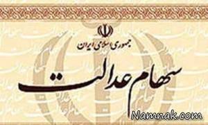 سهام عدالت ، سود سهام عدالت