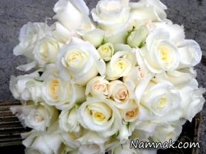 بوته رز ، گل