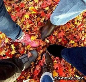 پاییز ، اس ام اس