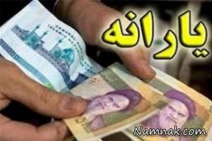 یارانه نقدی ، رئیس دیوان محاسبات کشور