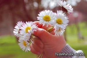 دلنوشته زندگی ، جشن