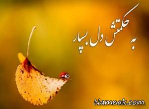 جملات بزرگان