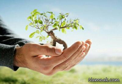 نعمت های بیکران آب و هوا