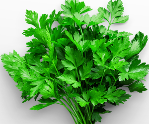 parsley ، جعفری