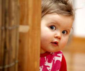 کارهای پاییزی ، خانه داری در پاییز