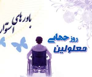 روز جهانی معلولین ، قوانین جامع حمایت از معلولین