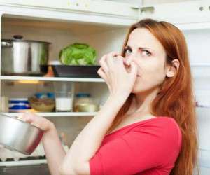 یخچال ، مواد غذایی در یخچال