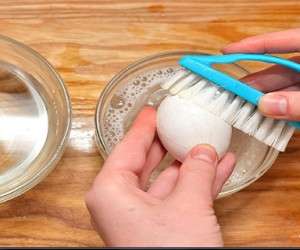 تخم مرغ ، شستن تخم مرغ