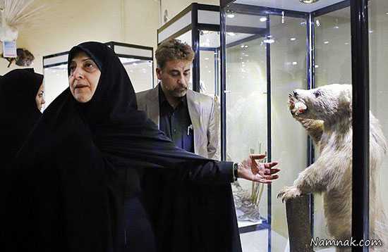 فریدون فروغی شوخی های اینترنتی ، دیوار مهربانی ، فیلترینگ