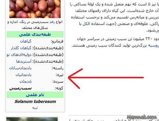 دیوار مهربانی شوخی های اینترنتی