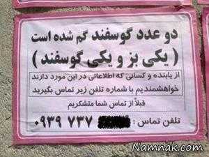 عکس های خنده دار ، عکس خنده دار جدید