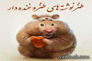 جملات خنده دار