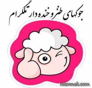 استاتوس ، استاتوس های خنده دار