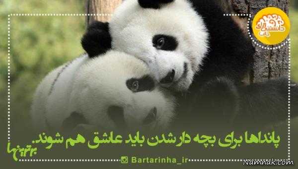 %D8%AF%D8%A7%D9%86%D8%B3%D8%AA%D9%86%DB%8C-%D9%87%D8%A7%DB%8C-%D8%AC%D8%A7%D9%84%D8%A8.jpg