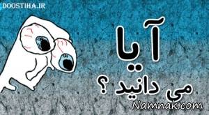 دانستنی های جالب ، آیا میدانید