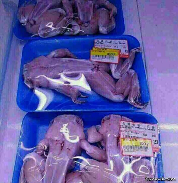 قورباغه گوشت قورباغه