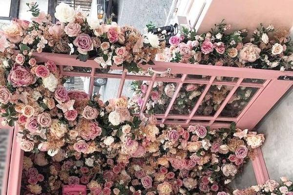 زیباترین گل های زینتی کاشت گیاه زینتی