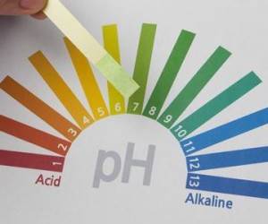 ph محیط واژن