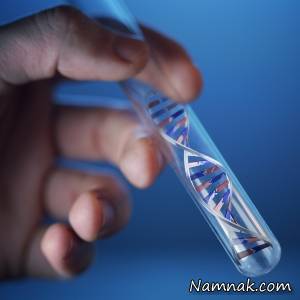 آزمایش DNA ، هویت