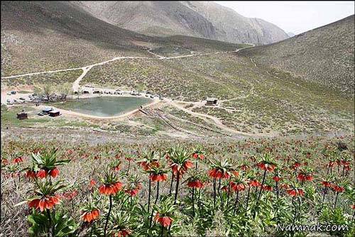 روستای دره بید