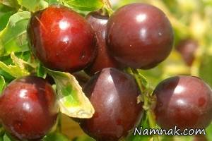 خوردن عناب