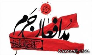 مدافع حرم ، مدافعان حرم