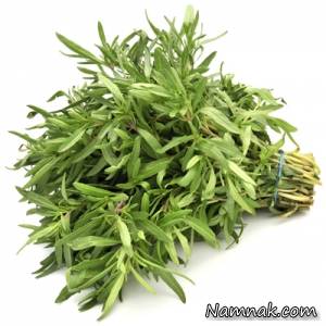 گیاه مرزه ، خواص گیاه مرزه