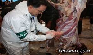 تب کریمه کنگو ، بیماری تب کریمه کنگو