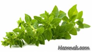 پونه کوهی