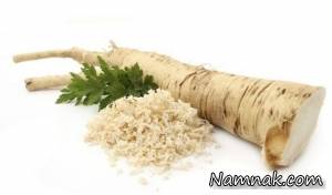 ترب کوهی ، ترب کوهی چیست