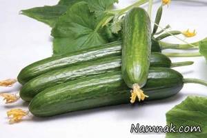 خیار گلخانه ای ، خیار مزرعه ای