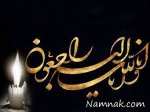 حسین نیک نژاد ، مسابقات پیشکسوتان کشتی