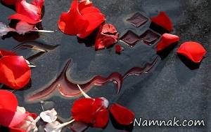 شهید هادی ثنایی ، شهید هادی ثنایی مقدم