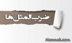ضرب المثل ، ضرب المثل زیر آب زنی